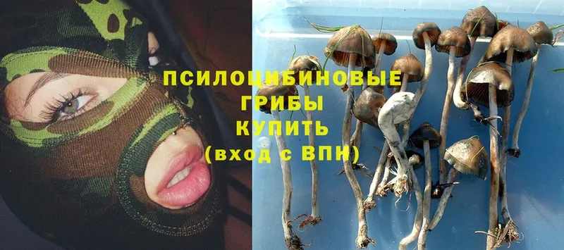 Псилоцибиновые грибы Magic Shrooms  купить   Воскресенск 